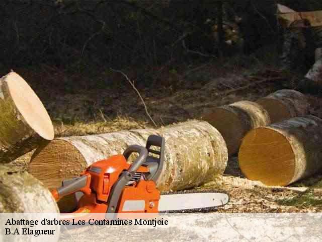Abattage d'arbres  les-contamines-montjoie-74170 B.A Elagueur